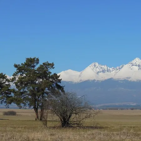 Slavkov & Parking Lejlighed Nová Lesná